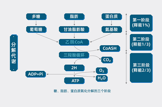 &#40857;&#56;&#45;&#108;&#111;&#110;&#103;&#56;&#40;&#20013;&#22269;&#41;&#21807;&#19968;&#23448;&#26041;&#32593;&#31449;&#45;&#31185;&#25216;&#39046;&#33322;&#31449;